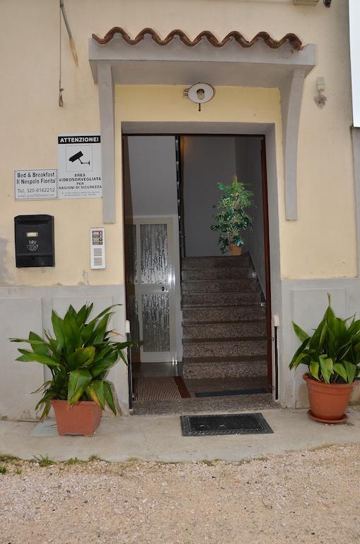Bed and Breakfast Domo - Guest-House Il Nespolo Fiorito à Orosei Extérieur photo